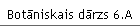 Botāniskais dārzs 6.A