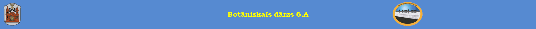 Botāniskais dārzs 6.A