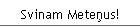 Svinam Meteņus!