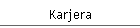 Karjera