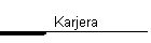 Karjera